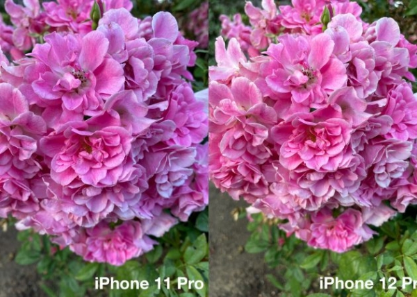 
            Фотографы протестировали камеру iPhone 12 Pro и сравнили с iPhone 11 Pro        